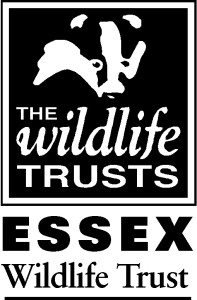 Essex WT Logo