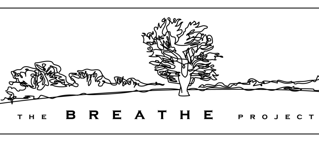 Deadline: 10.05.19 – Forest School Leader / Assistant – The Breathe Project – Wiltshire