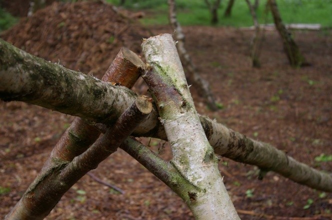 An image showing two forked sticks holding a shelter ridge pole