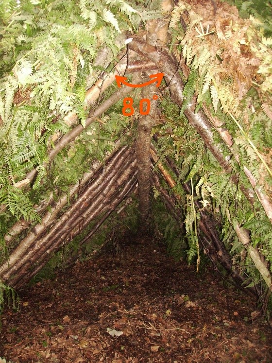 An image from inside a shelter showing the angle of the two ridge poles 80 degrees to each other