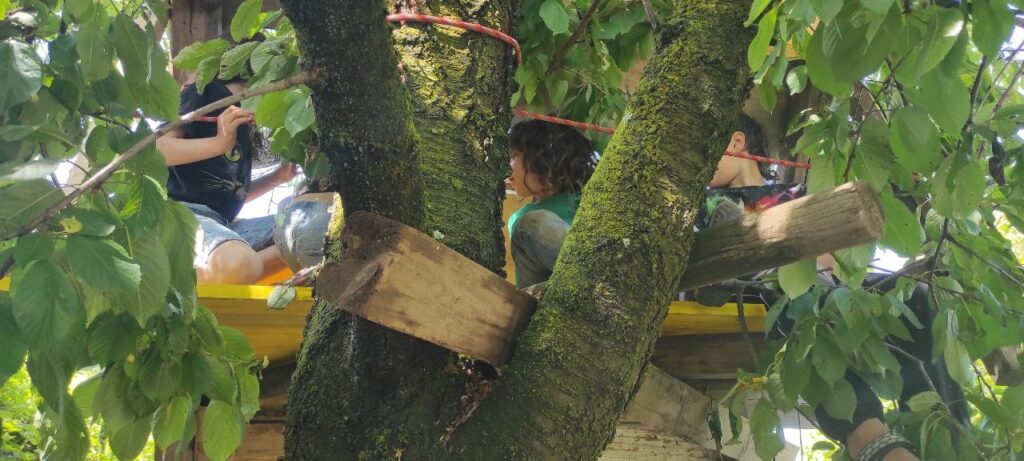 A group of children play in a tree house