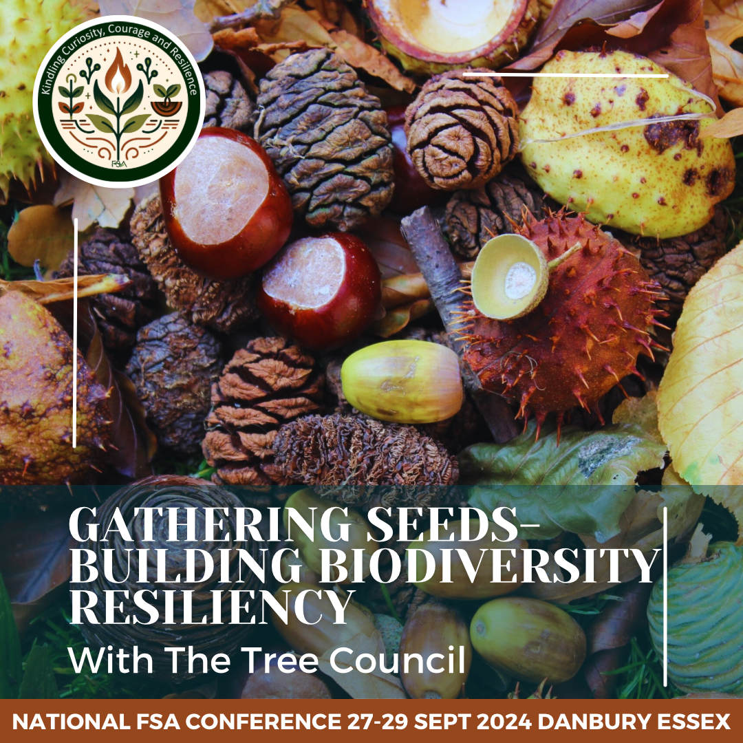 Gathering Seeds - building biodiversity resiliance with The Tree Council