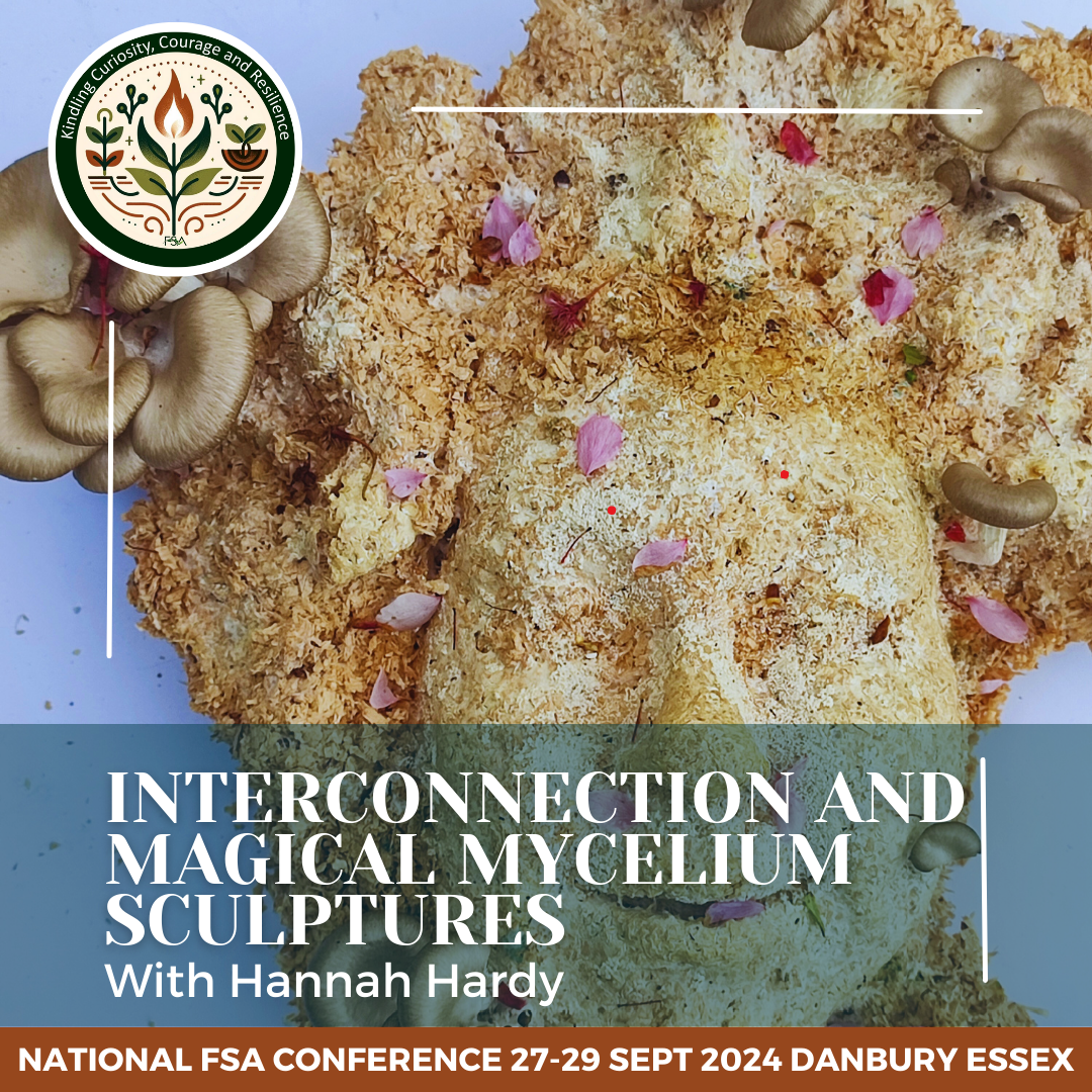 Interconnection and Magical Mycelium Sculptures with Hannah Hardy